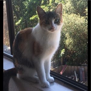 Meet your Posher, Kathy